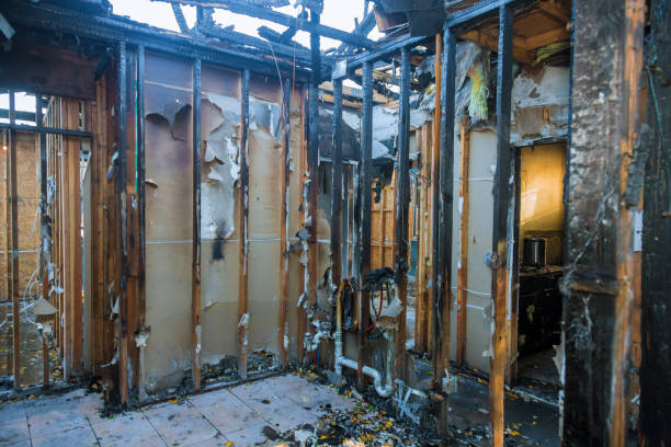 Professional Emergency Fire Cleanup technician working in Black River Falls, WI